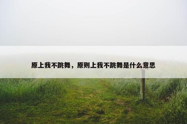 原上我不跳舞，原则上我不跳舞是什么意思