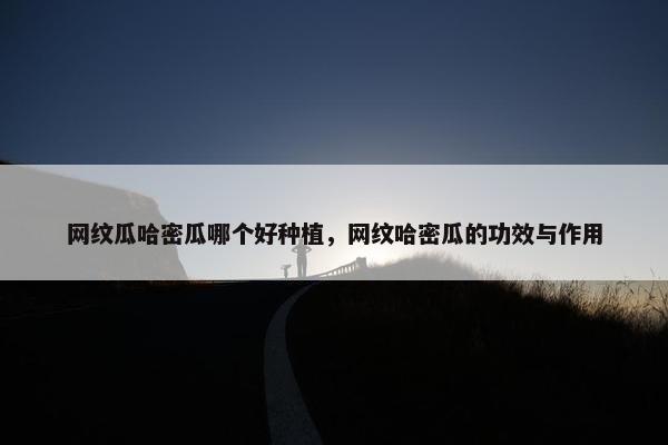 网纹瓜哈密瓜哪个好种植，网纹哈密瓜的功效与作用