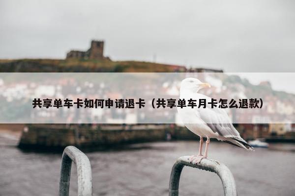 共享单车卡如何申请退卡（共享单车月卡怎么退款）