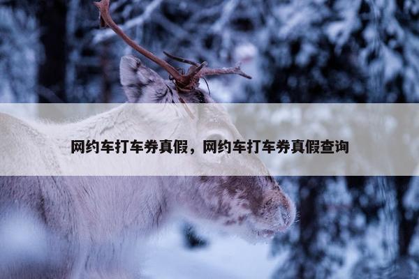 网约车打车券真假，网约车打车券真假查询