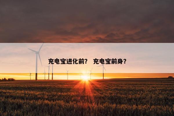 充电宝进化前？ 充电宝前身？