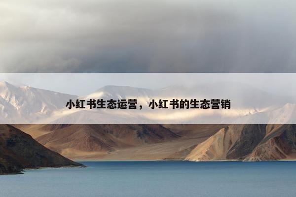 小红书生态运营，小红书的生态营销