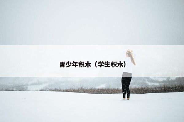 青少年积木（学生积木）