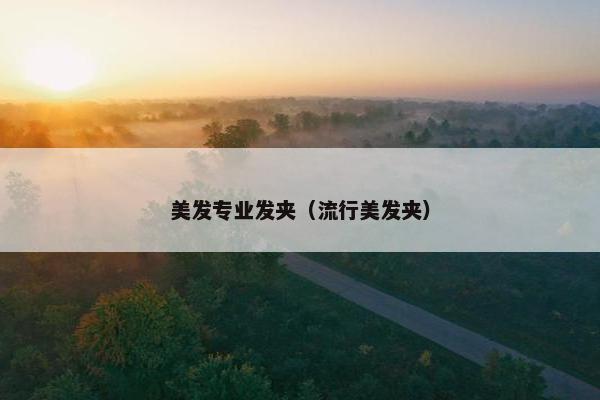 美发专业发夹（流行美发夹）