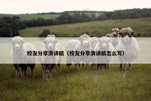 校友分享演讲稿（校友分享演讲稿怎么写）