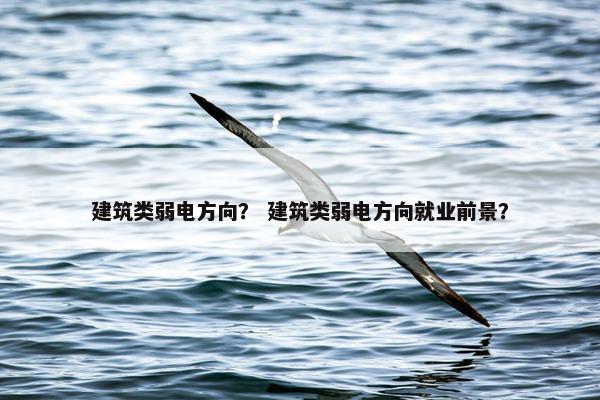 建筑类弱电方向？ 建筑类弱电方向就业前景？