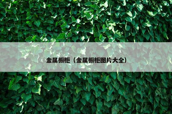 金属橱柜（金属橱柜图片大全）