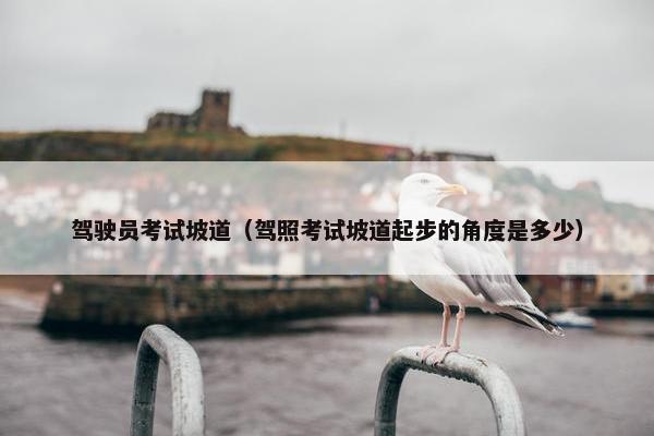 驾驶员考试坡道（驾照考试坡道起步的角度是多少）