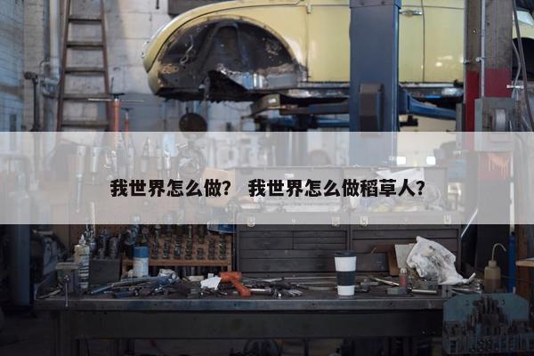我世界怎么做？ 我世界怎么做稻草人？
