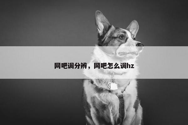 网吧调分辨，网吧怎么调hz