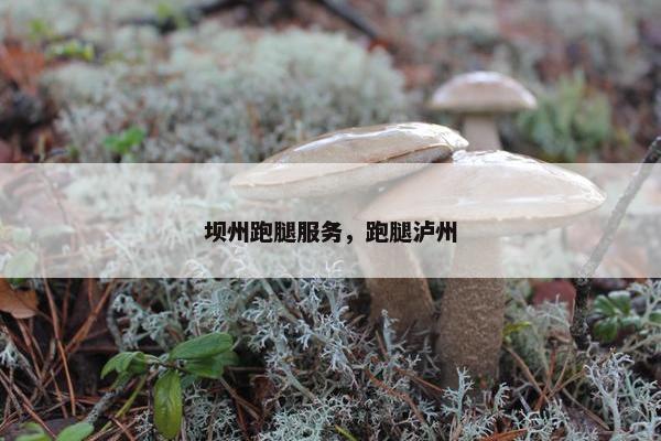 坝州跑腿服务，跑腿泸州
