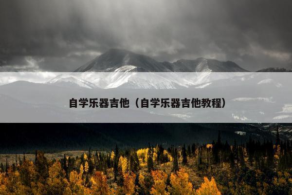自学乐器吉他（自学乐器吉他教程）